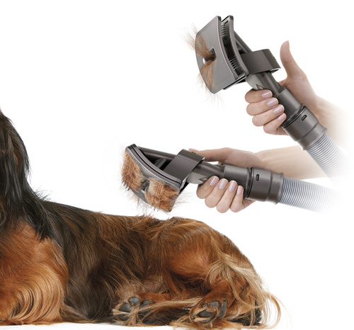 Dyson Groom Tool Will Comb And Vacuum Your Dogâ€™s Coat