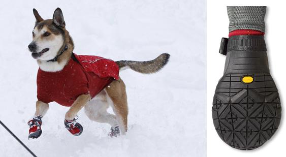 Shoes Needs Doggy Barkâ€™n Too Boots Polar Snow Because Trex snow shoes  for