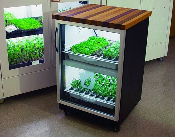 ... up the Urban Cultivator Home, a standalone indoor garden in a box
