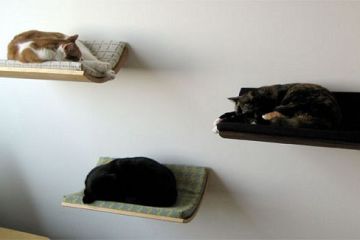 Curve Wall Mounted Cat Bed