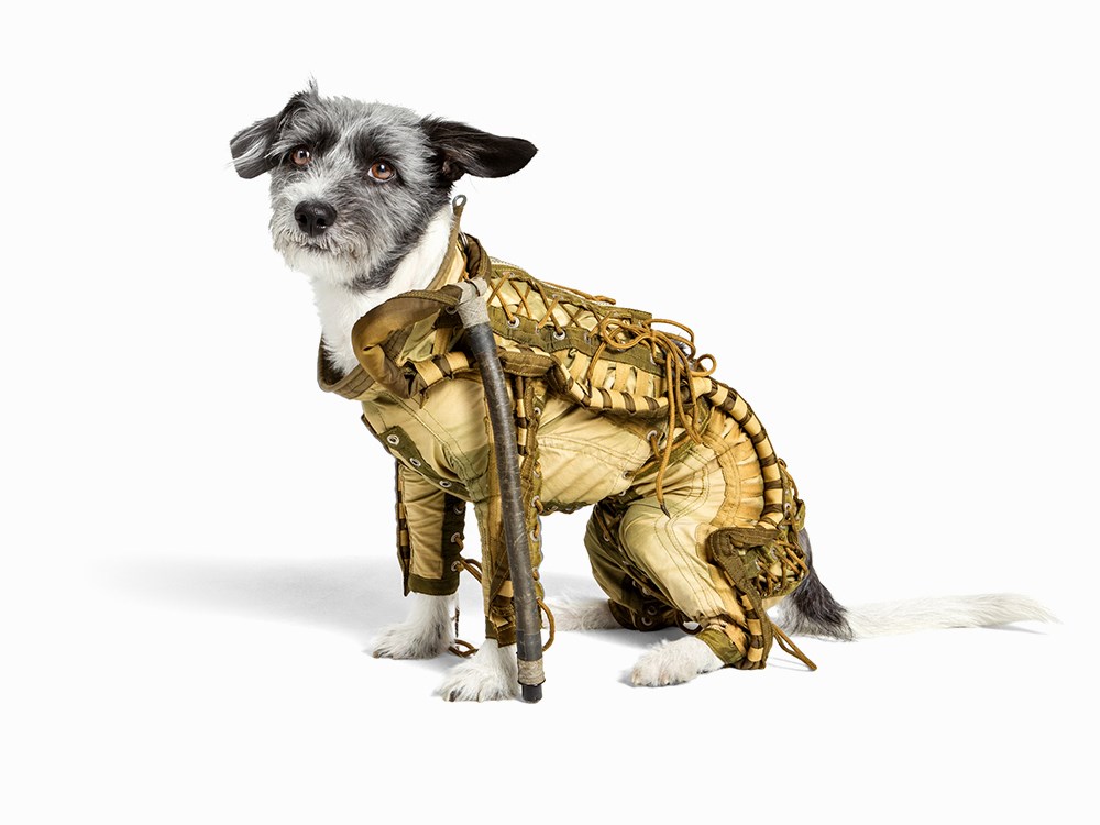 This Authentic Soviet Era Dog Spacesuit Is The Cutest Dog Costume