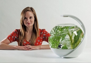 Avo Is A Self-Cleaning, Hassle-Free Tropical Fish Aquarium