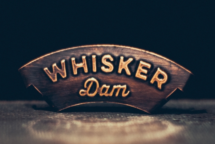whisker-dam-1