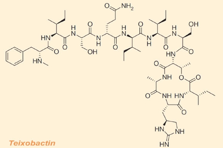 ichip-teixobactin-1