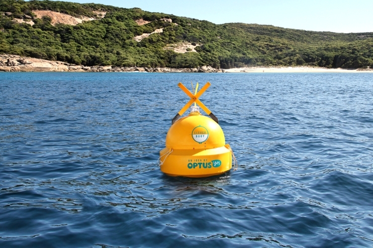 clever-buoy-1