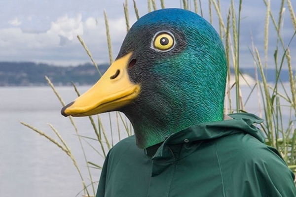 Mallard Duck Mask