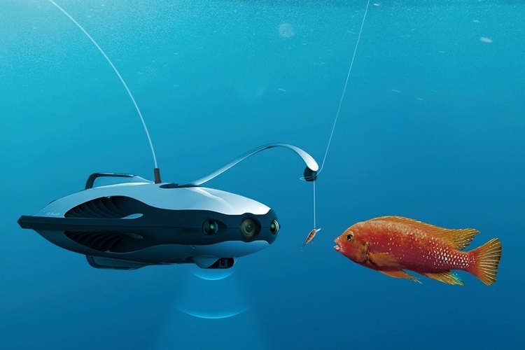 PowerVision PowerRay Underwater Drone