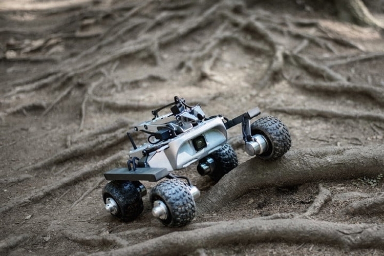 turtle-rover-1