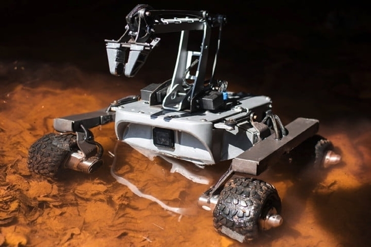 turtle-rover-2