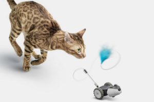 petronics mousr interactive robotic cat toy