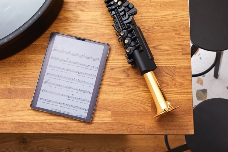  Yamaha Digital Saxophone (YDS-150) : Everything Else