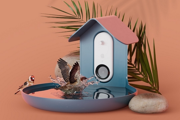 Bird Buddy, the AI-powered bird feeder startup, now lets anyone