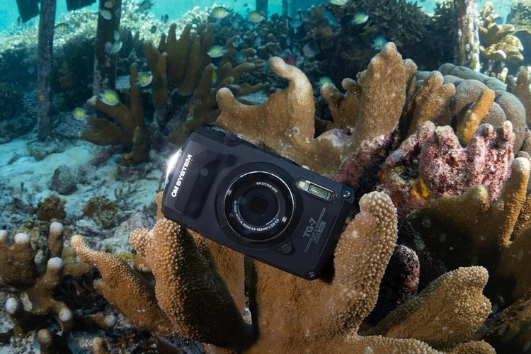 The Best Waterproof Cameras